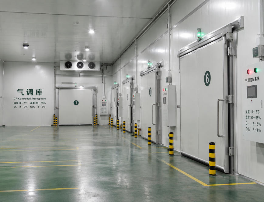 江北区气调库工程案例实景